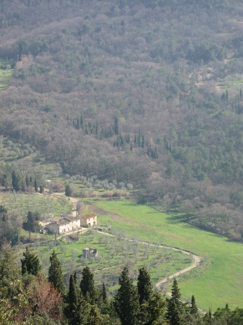 Fiesole - Parco di Montececeri-14.JPG